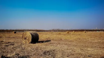 Casino Adrenaline App Mobile